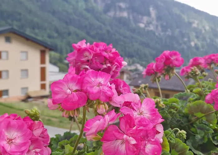 Apartamento Sunnuhubil *